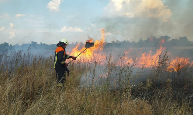 На прошедших выходных в экосистемах Киевщины произошли пожары на общей площади более 56 га