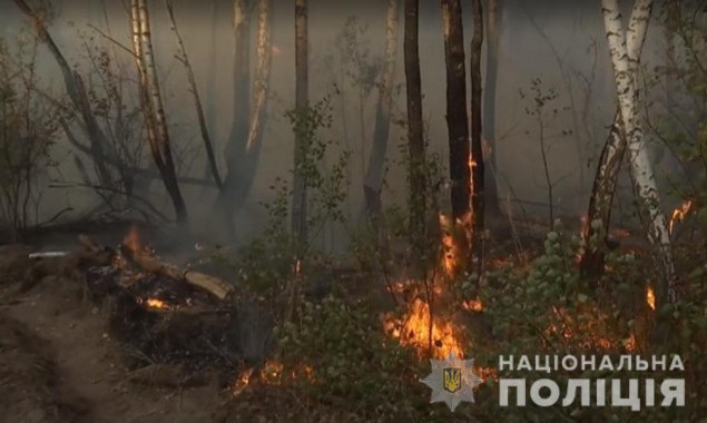 Полиция подозревает в поджоге Чернобыльской зоны жительницу Киевщины
