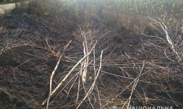 Из-за возгорания сухой травы на Киевщине погибли два человека