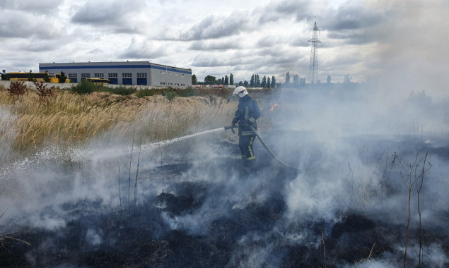 За последние сутки спасатели Киевщины тушили  горящую траву на площади почти 60 га (фото)