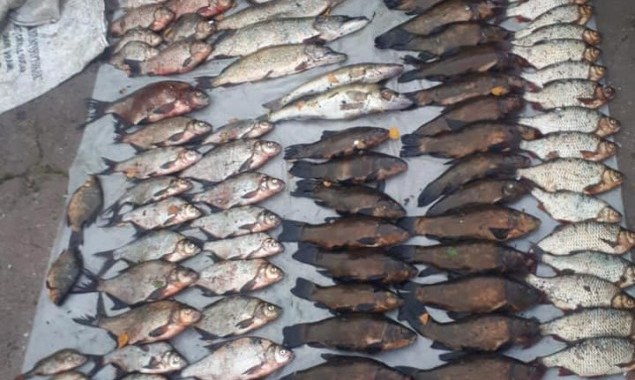 Киевский рыбоохранный патруль на реке Тетерев поймал нарушителя, нанесшего почти 15 тыс. гривен убытков (фото)