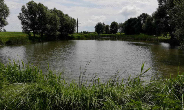 В селе Тадиевка на Киевщине расчистят пруд за 4,64 млн гривен