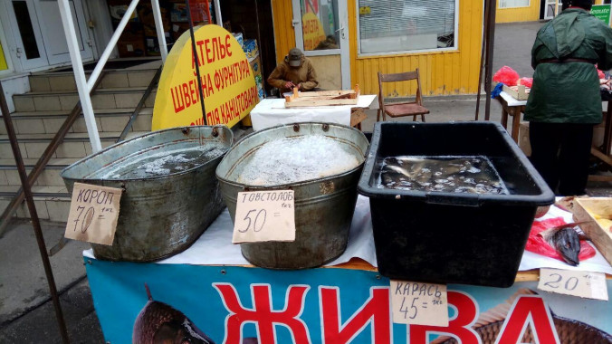 Киевский рыбоохранный патруль отчитался об изъятии более 300 кг рыбы на столичных рынках (фото)