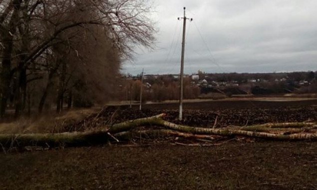 Сильный ветер обесточил 26 населенных пунктов в Киевской области