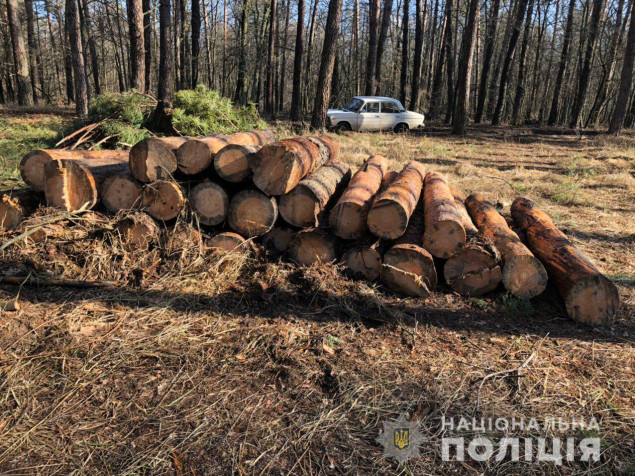 В Переяслав-Хмельницком районе трое местных жителей незаконно вырубали лес (фото)
