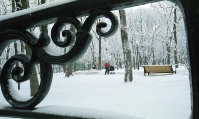 Погода в Киеве и Киевской области: 8 февраля 2020