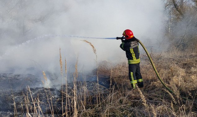 Киевские спасатели 25 марта 11 раз выезжали на ликвидацию пожаров  в экосистемах