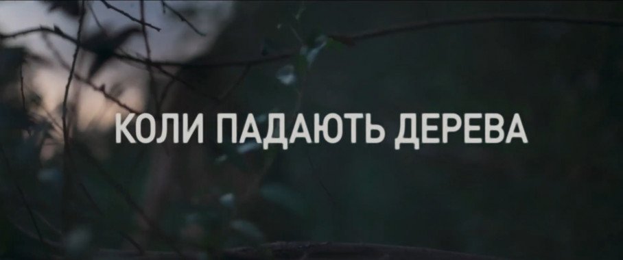 На онлайн-платформах состоялись цифровые релизы украинских фильмов