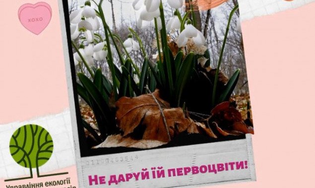 Столичные власти призвали не дарить женщинам к 8 марта первоцветы (видео)