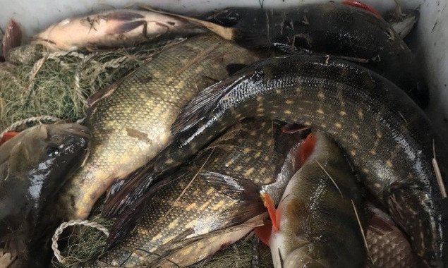В феврале Киевский рыбоохранный патруль изъял у браконьеров 2,7 тонны рыбы
