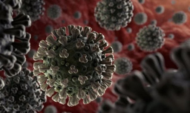 В Украине выявлены еще два случая заражения коронавирусом