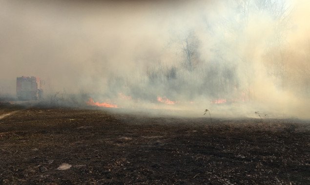 Жители Киево-Святошинского района задержали поджигателя травы