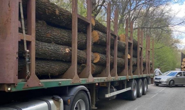 На Киевщине задержали подозреваемого в незаконной продаже древесины лесничего (фото)