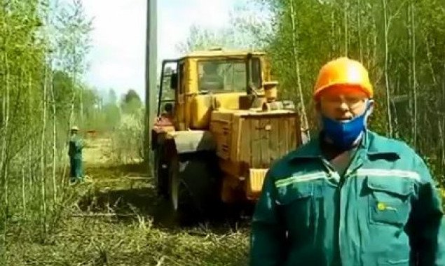 Энергетики отчитались о расчистке от веток 600 км электросетей в Киевской области