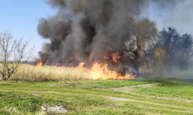 Спасатели Киевщины за сутки ликвидировали более 130 пожаров в экосистемах (фото, видео)