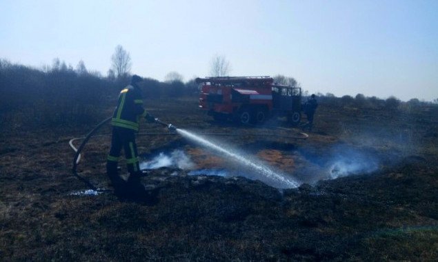 На Киевщине начались торфяные пожары (видео)