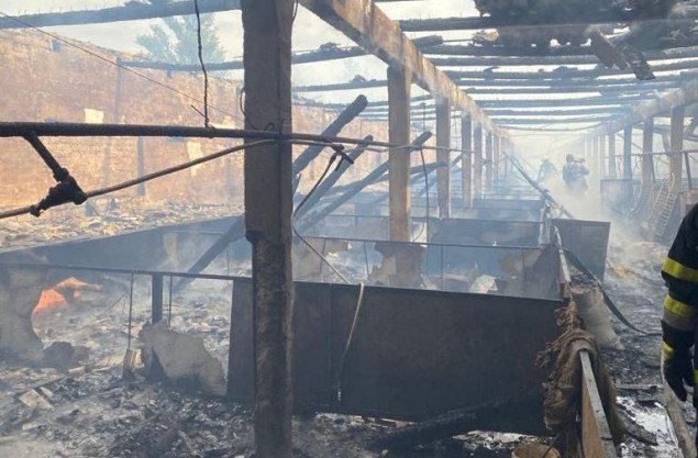 На Киевщине в масштабном пожаре на ферме погибли более 100 свиней (фото)