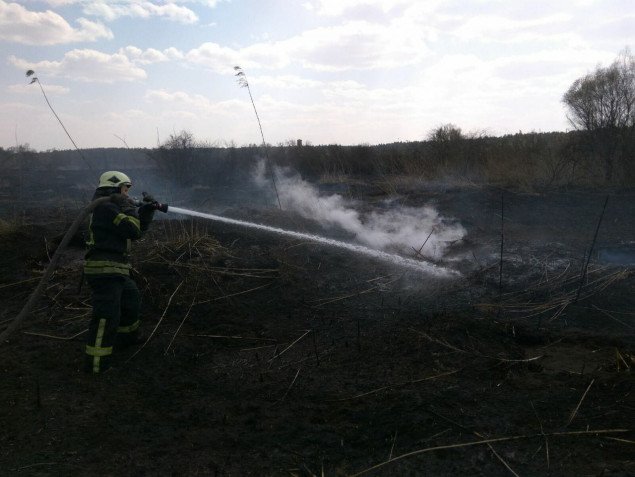 Спасатели ликвидировали возгорание торфа в Дарницком районе Киева