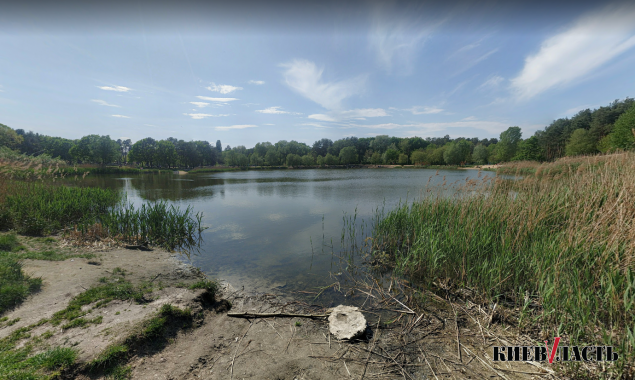 “Киевзеленстрой” просят спасти от обмеления озера в столичном парке Партизанской славы