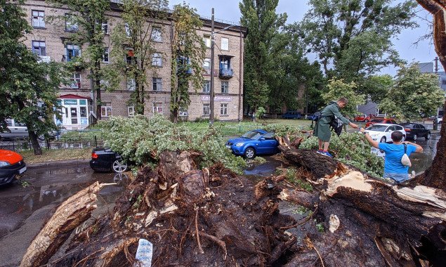 В Киеве мощный ливень с градом подтопил дороги и повалил деревья (фото, видео)