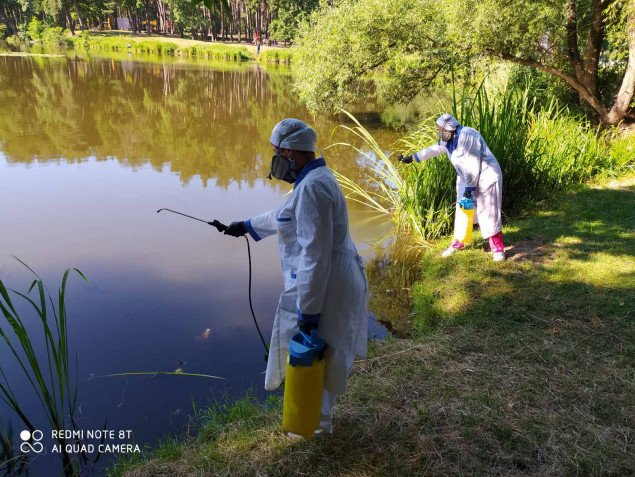 КП “Плесо” проводит обработку прибрежных полос киевских водоемов от комаров (фото)