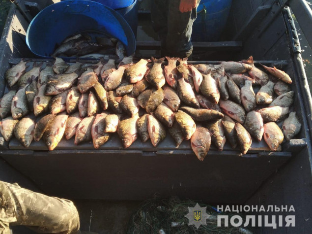 Водная полиция Киевщины обнаружила браконьеров, нанесших убытков на полмиллиона гривен