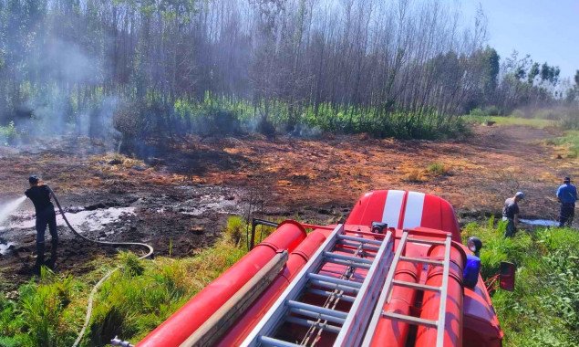 Из-за погоды на Киевщине снова начали гореть торфяники