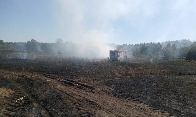 Жителей Киева и Киевщины предупредили о высоком уровне пожарной опасности 3 и 4 сентября