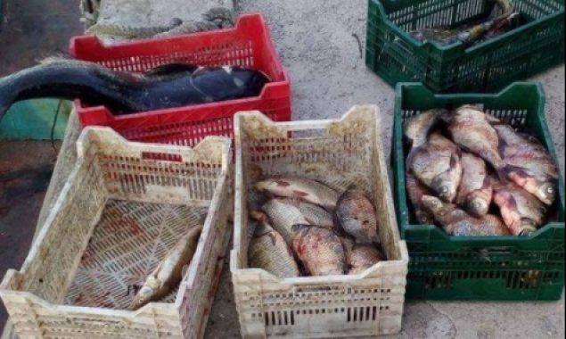 Киевский рыбоохранный патруль в августе зафиксировал нарушений более чем на миллион гривен