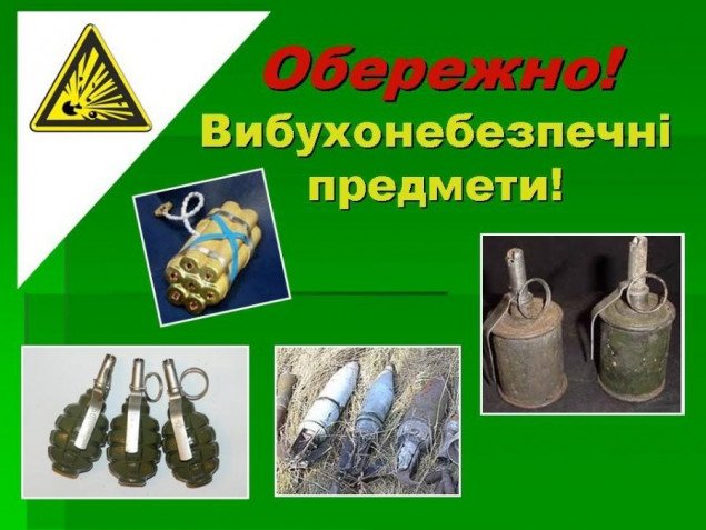 В Голосеевском районе обнаружены две гранаты времен Второй мировой войны