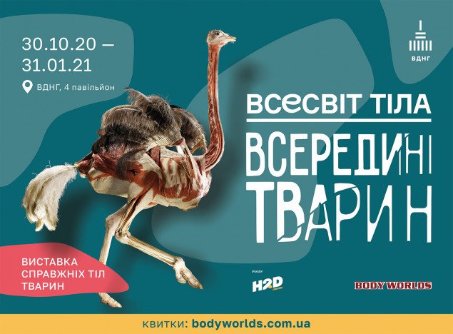 В Киеве покажут выставку тел настоящих животных