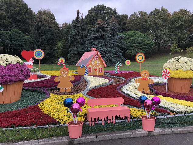 На Певческое поле в Киеве открылась выставка хризантем “Мир сладостей”