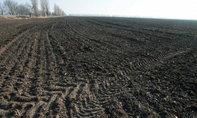 Прокуратура Киевщины через суд вернула государству землю стоимостью в 37 млн гривен в Сквирском районе