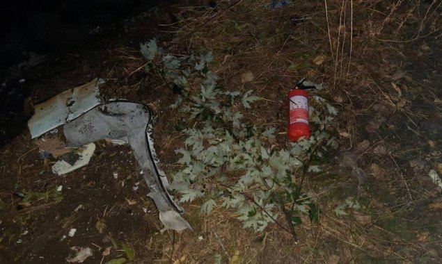 В результате падения мотодельтаплана на Киевщине погибли два человека