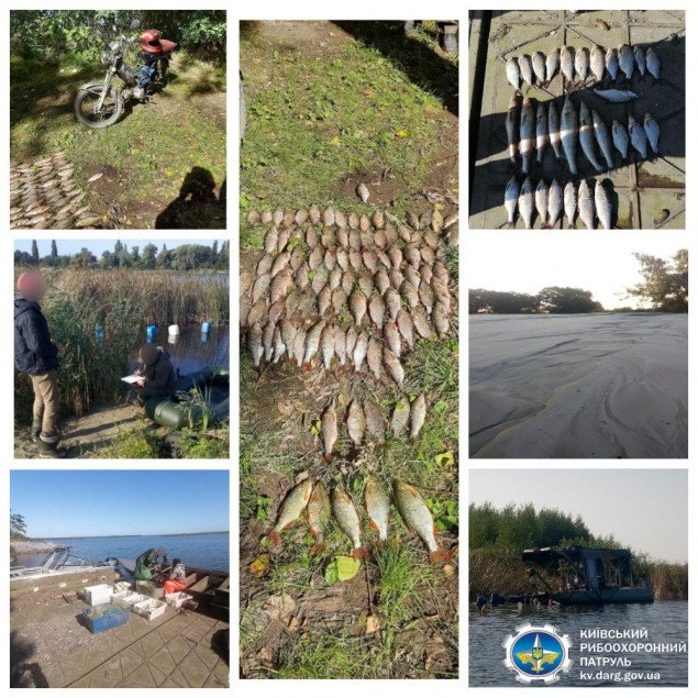 За месяц Киевский рыбоохранный патруль изъял 6,5 км сеток