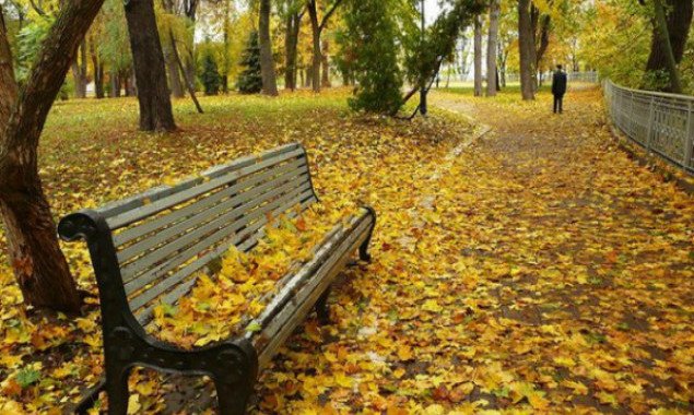 Погода в Киеве и Киевской области: 21 октября 2020