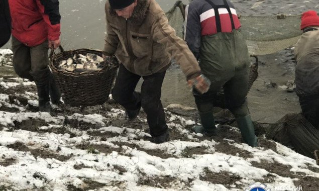 На Белоцерковщине в Киевской области в водохранилище выпустили более 9 тонн рыбы (фото, видео)