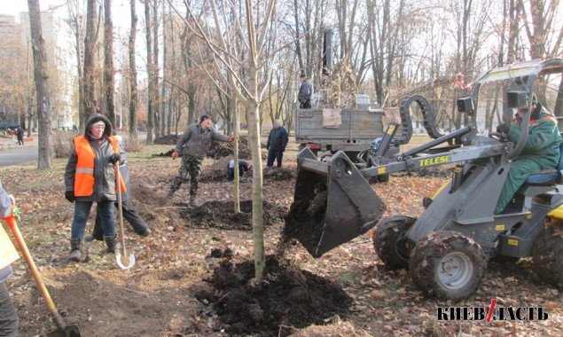 “Киевзеленстрой” за 41 млн гривен проведет ремонты в 5 скверах и 5 парках