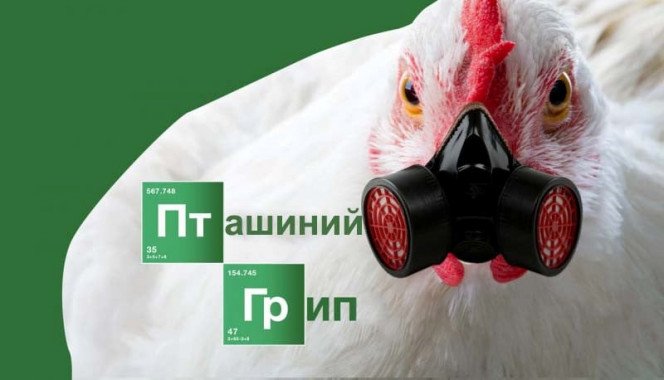 В Киевской области зарегистрирован случай птичьего гриппа