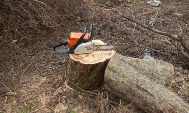 Жители Святошинского района столицы возмущены вырубкой деревьев на улице Связистов