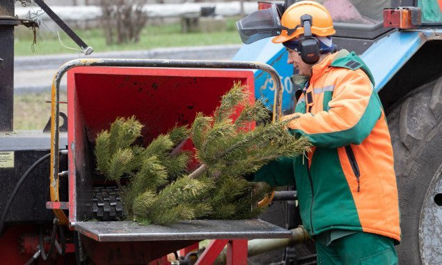 В Киеве пункты приема новогодних елок на утилизацию проработают до конца недели (адреса)
