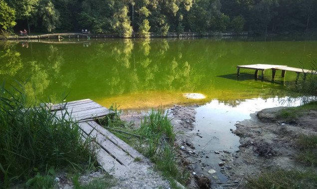 Кличко просит Шмыгаля содействовать передаче Дидоровских прудов в Нацпарке “Голосеевский” в государственную собственность
