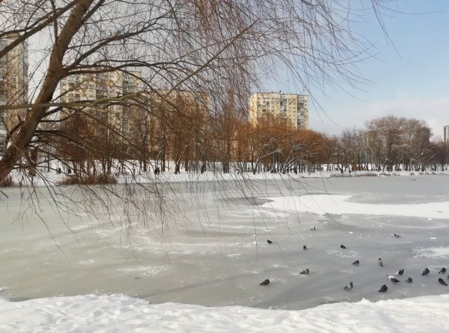 Погода в Киеве и Киевской области: 14 февраля 2021