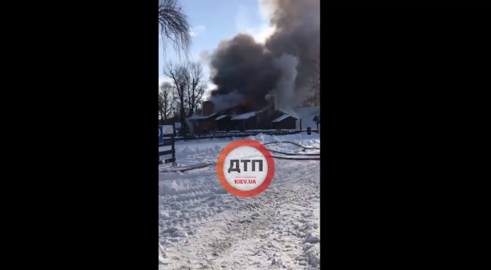В парке “Дружбы народов” в Киеве начался масштабный пожар (фото, видео)