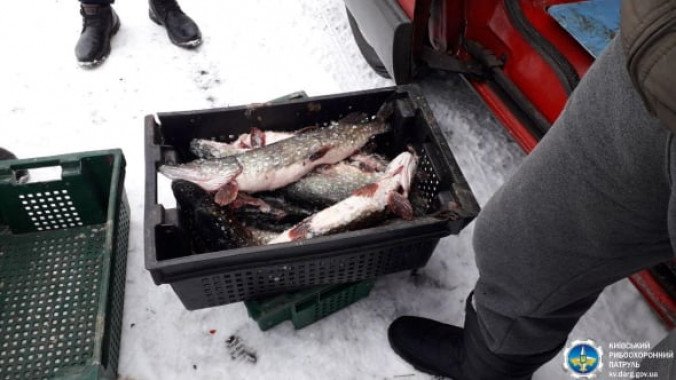 С начала февраля Киевский рыбоохранный патруль зафиксировал более 100 нарушений