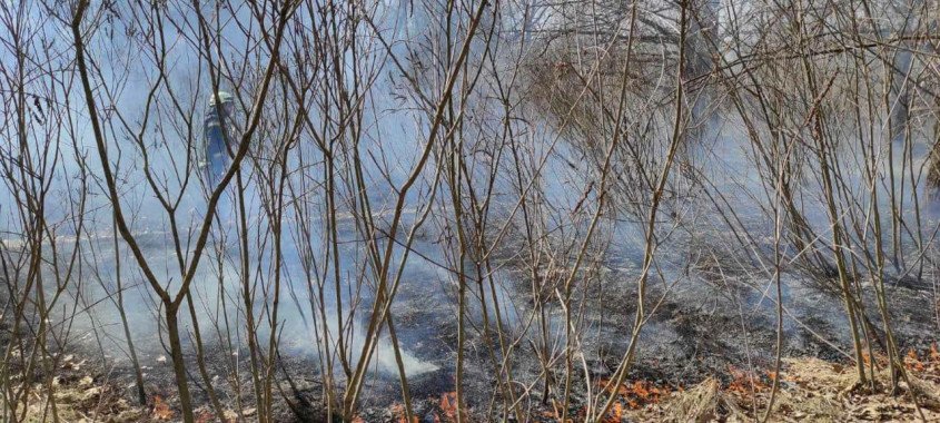 Пожарные ликвидировали масштабное возгорание травы в Голосеевском районе Киева