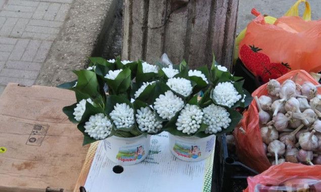 В Киеве хотят усилить борьбу с торговлей первоцветами