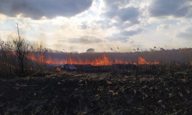 На Киевщине при ликвидации возгорания травы нашли тело мужчины