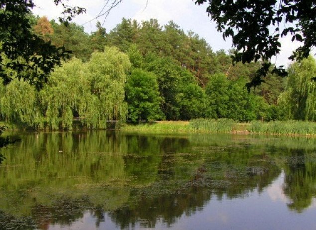 Киев хочет отдать в госсобственность пруды в Голосеевском парке
