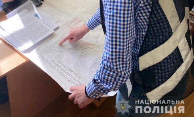 На Киевщине должностные лица сельсовета незаконно передали 10 га леса в частную собственность